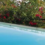 Belle فيلة *