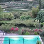 فيلة Belle *