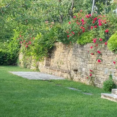 Belle فيلة