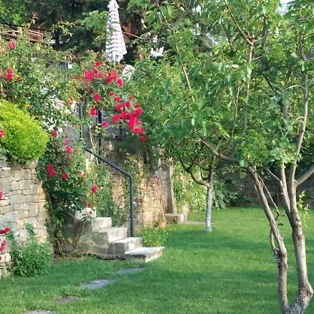 Belle فيلة *