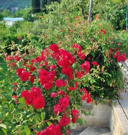 Belle Villa Oprtalj